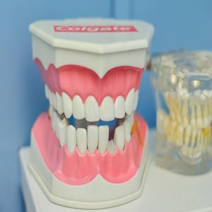 치아-관리